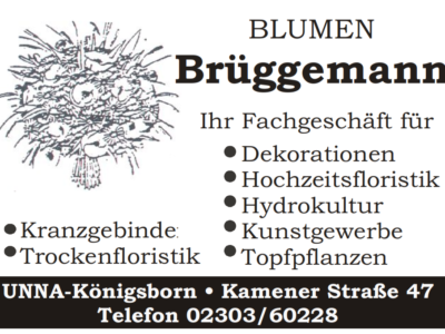 18_Brüggemann